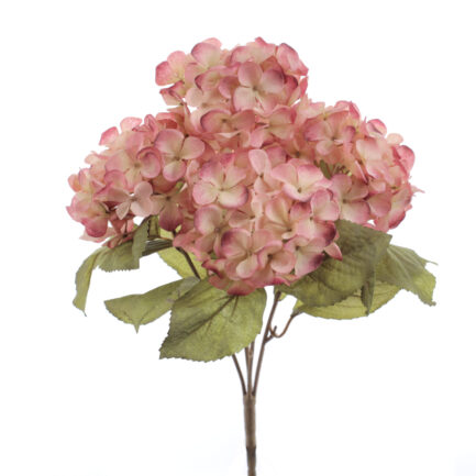 Ramo hydrangea color rosa vintage